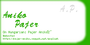 aniko pajer business card